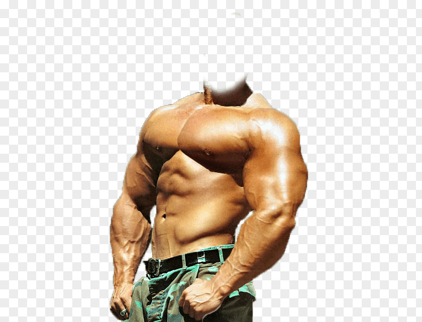 Bodybuilding Professional Bodybuilding.com Muscle Hypertrophy PNG