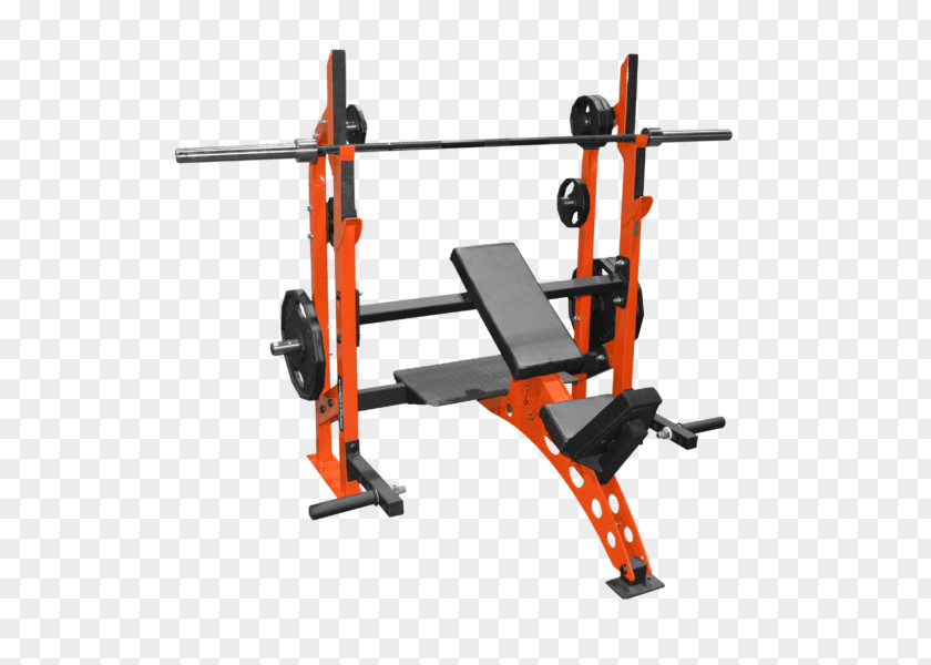 Dumbbells Squats Power Rack Bench Weight Training Fitness Centre Strength PNG