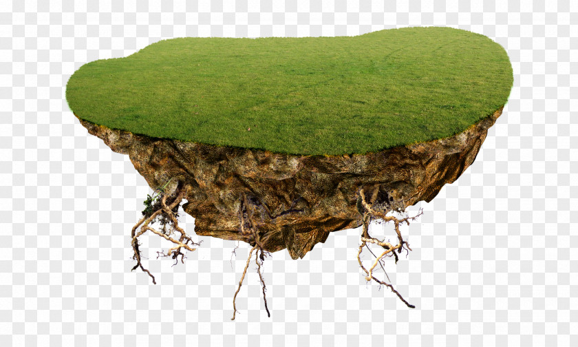 Floating Island Tree PNG