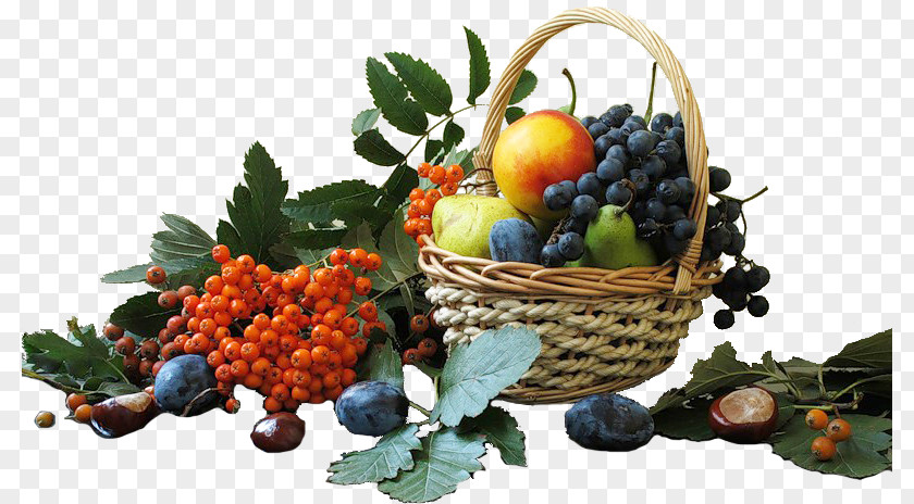 Grape Fruits And Berries PNG