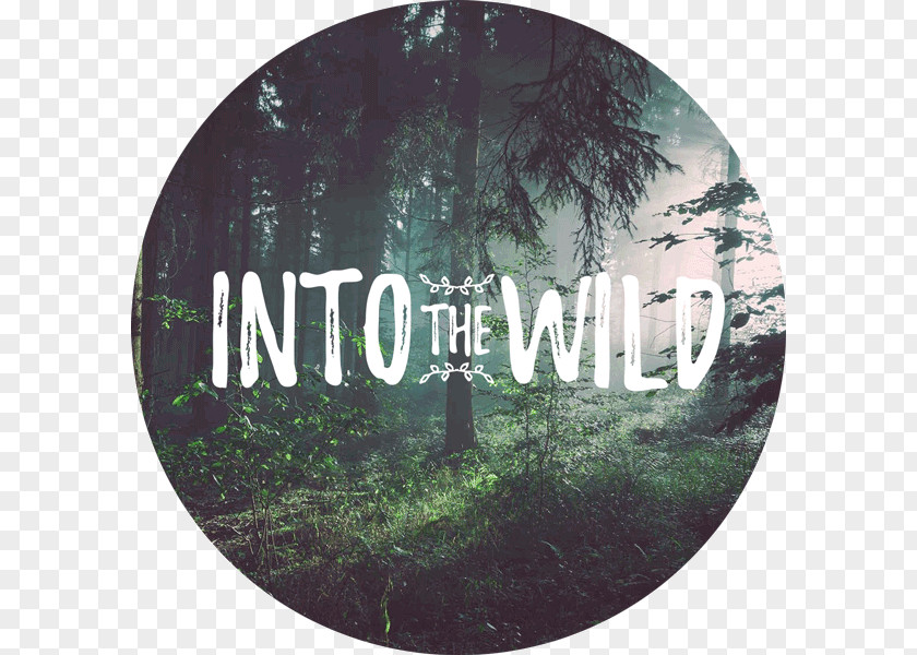 Into The Wild Desktop Wallpaper Tree PNG