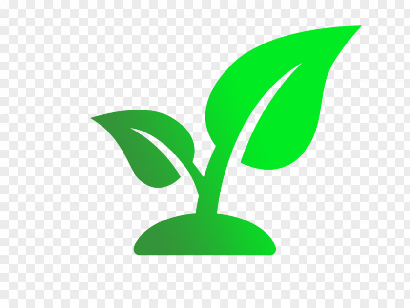 Leaf Seedling Champaign-Urbana Community Fab Lab Plant Stem PNG
