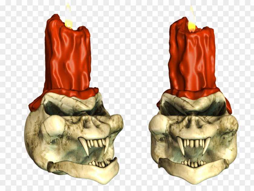 Share Bone Jaw PNG