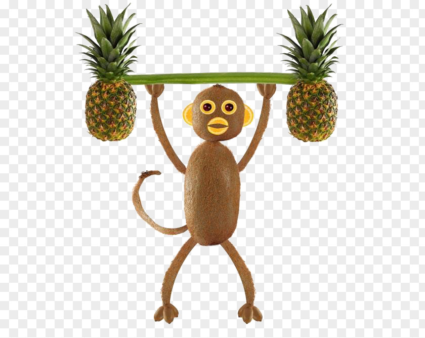 Weightlifting Monkeys Kiwifruit Stock Photography Royalty-free PNG