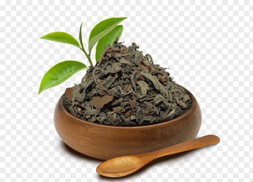 Chun Mee Tea Nilgiri Hōjicha Darjeeling Green PNG