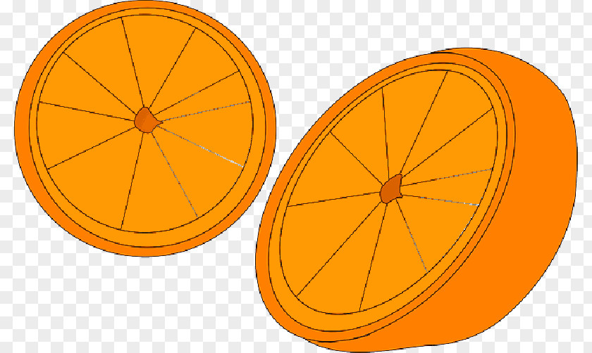 Citrus Product Design Line PNG