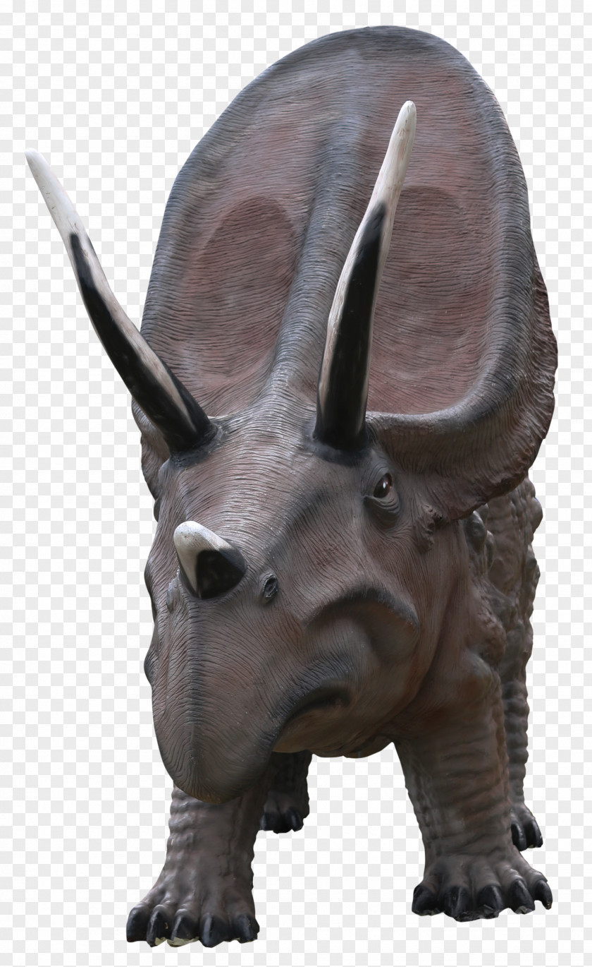 Dinosaur Triceratops PNG