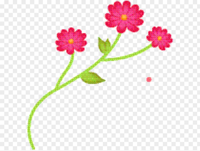 Perennial Plant Pink Family Flower Cartoon PNG