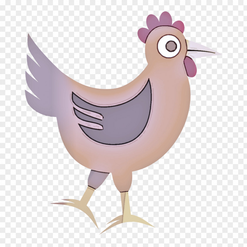 Bird Cartoon Chicken Rooster Beak PNG