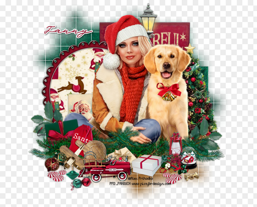 Golden Retriever Labrador Puppy Dog Breed Christmas Ornament PNG