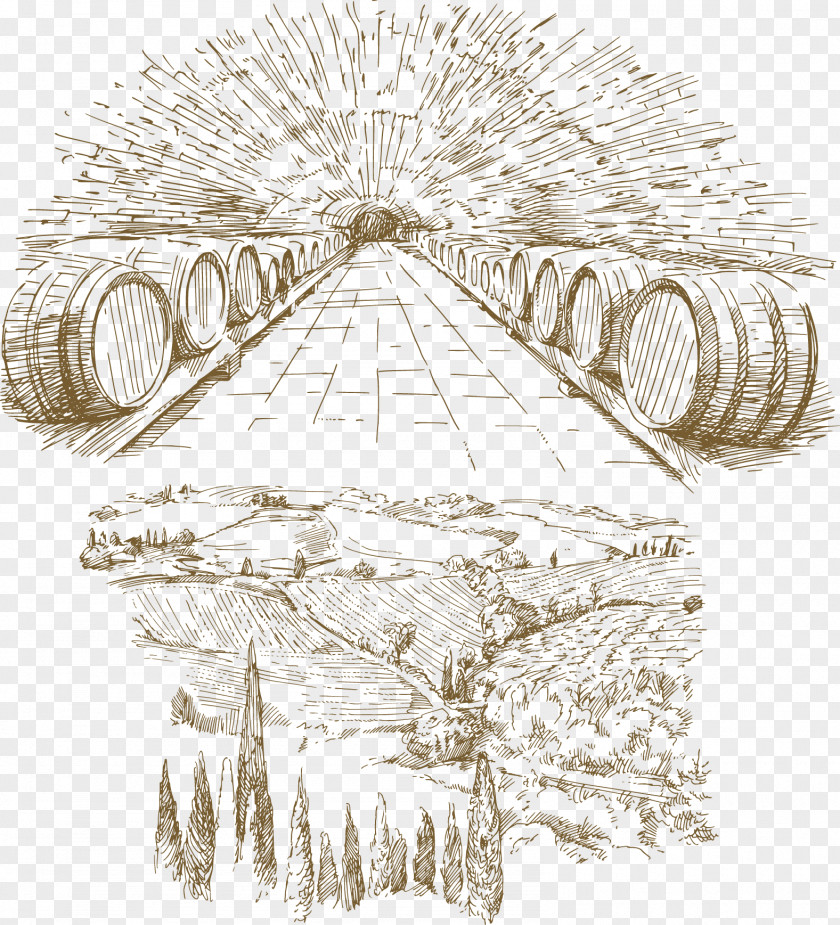 Vector Wine Cave Common Grape Vine Euclidean Clip Art PNG