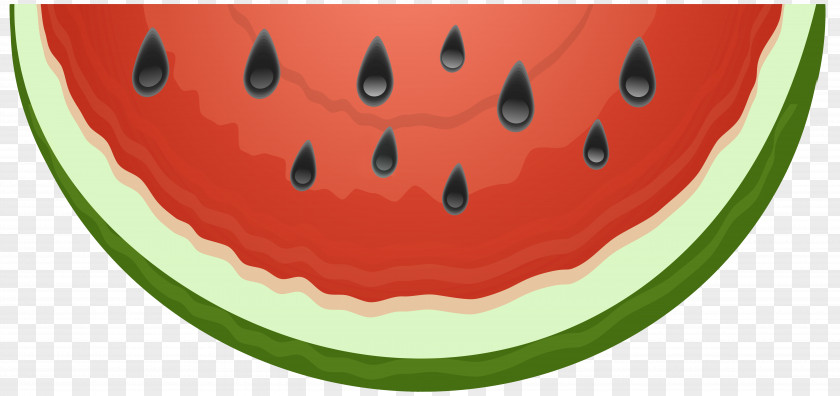 Waterlemon Ribbon Watermelon Clip Art Image PNG