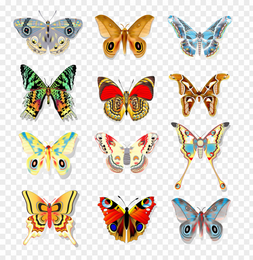 Colored Butterfly Pattern Vector Stock Photography Illustration PNG