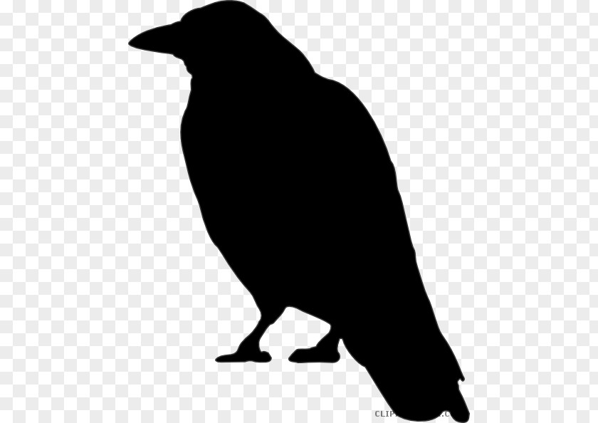 Crow Clip Art Openclipart Vector Graphics Free Content Illustration PNG
