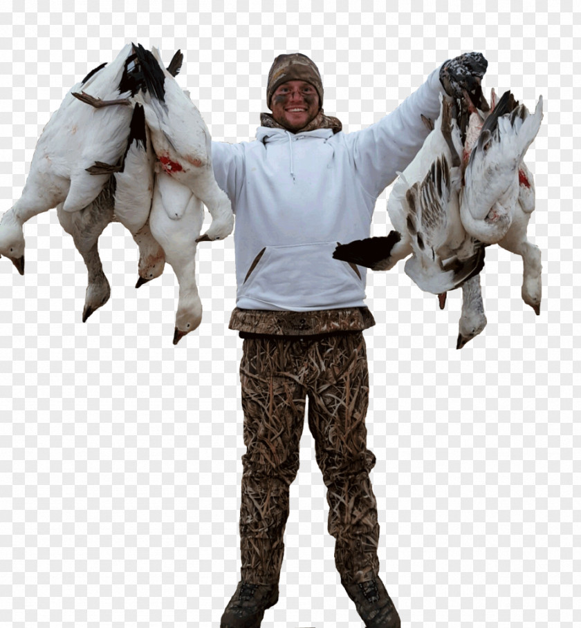 Goose Snow Duck Waterfowl Hunting PNG