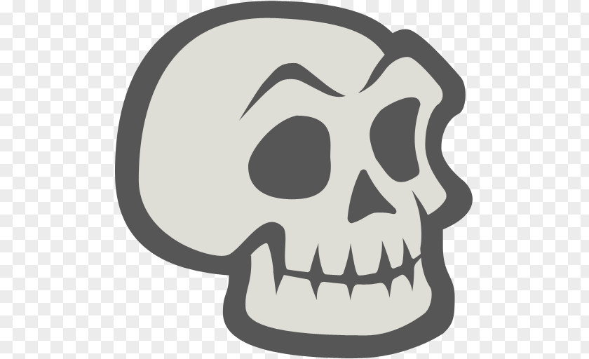 Skeleton Human Skull PNG