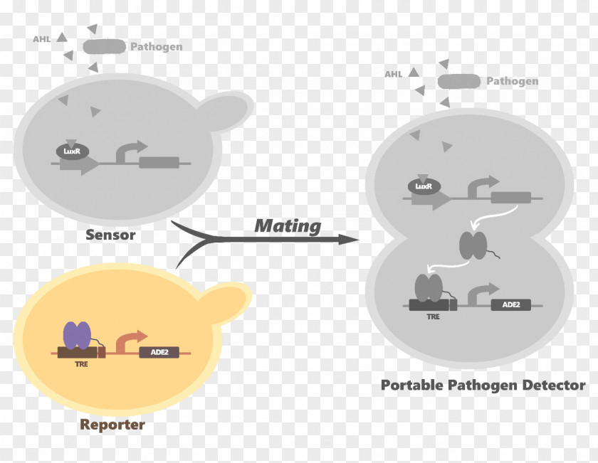 Technology Cartoon Diagram PNG