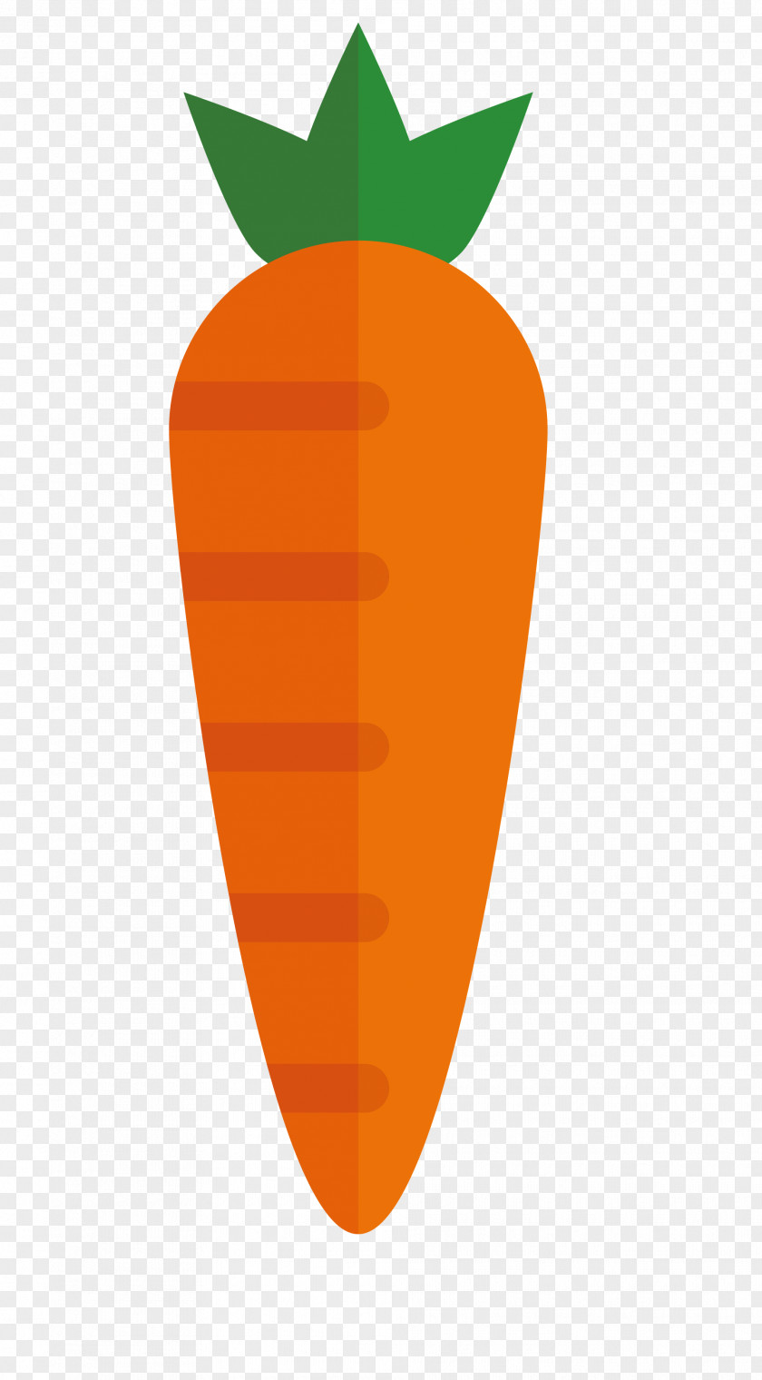 Vector Carrot Euclidean PNG