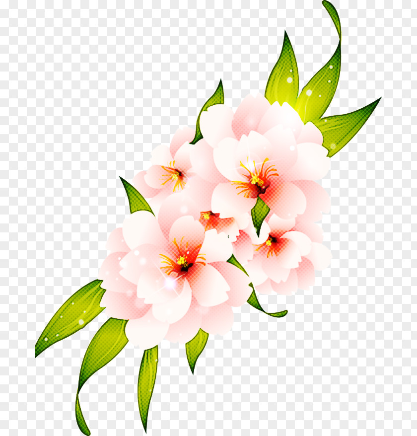 Watercolor Paint Cut Flowers Flower Flowering Plant Petal Pink PNG