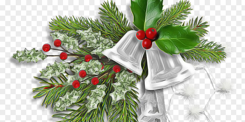 Colorado Spruce Evergreen Christmas Decoration PNG