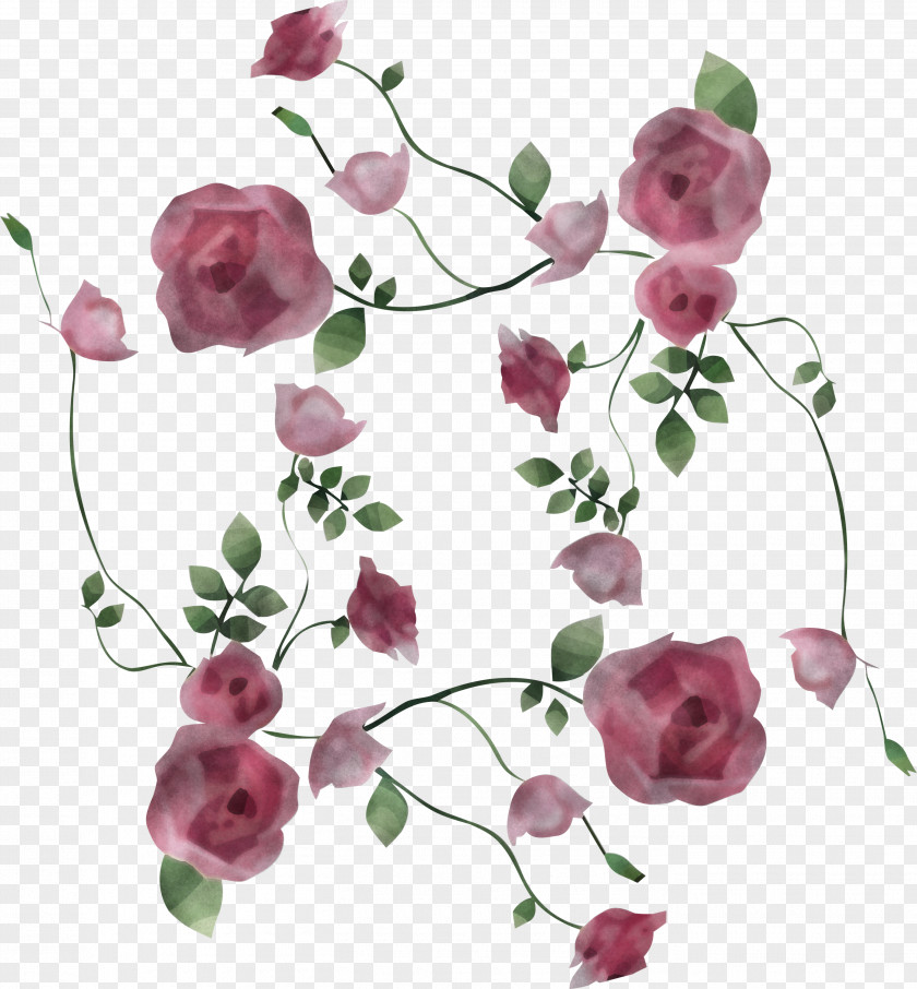 Floral Design PNG