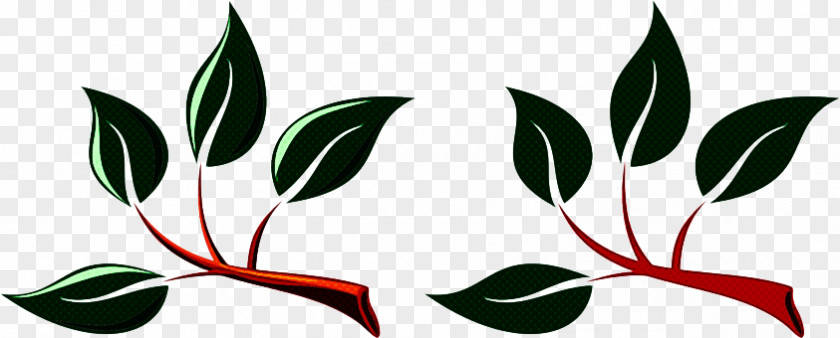 Flower Plant Leaf PNG