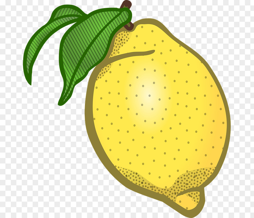 Lemon Clip Art Openclipart Vector Graphics Image PNG