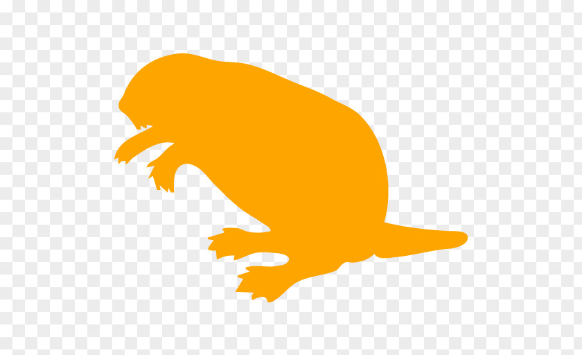 Tail Yellow Beaver Cartoon PNG