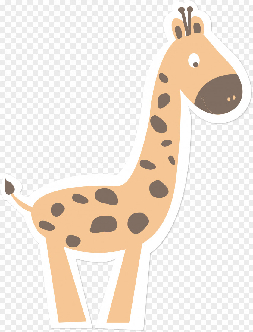 Giraffe Vector Brazil Mount Alvernia Hospital Illustration PNG