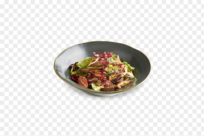 Sirloin Steak Chicken Salad Donburi Japanese Cuisine Dish PNG