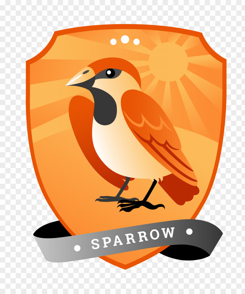 Sparrow Illustration Crowst Oy Beak Head Louse Clip Art PNG
