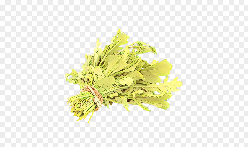 Yellow Plant Flower Leaf Herb PNG