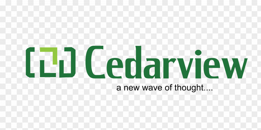 Business ITEdgenewsNG Cedarview Communications Limited Brand Organization PNG