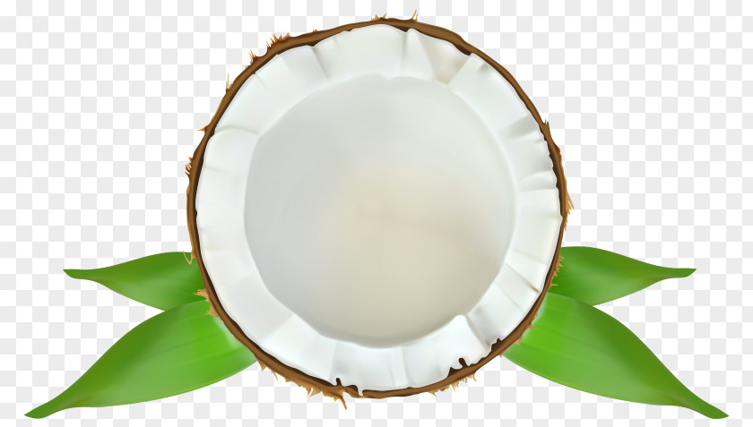 Coconut Water Clip Art Milk PNG