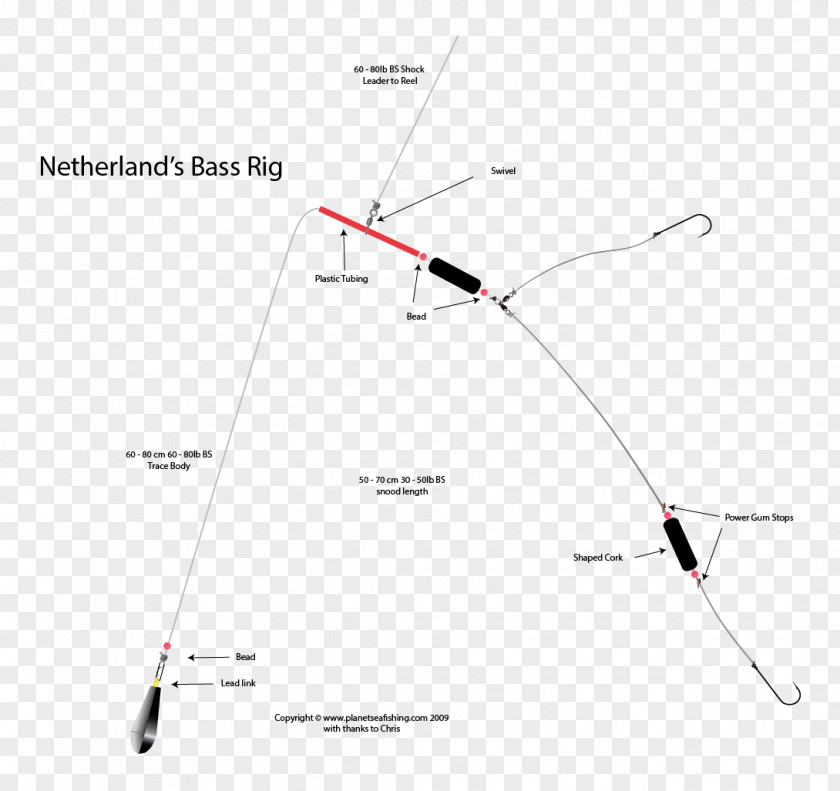 Fishing Rock Carolina Rig Aparejo Diagram PNG