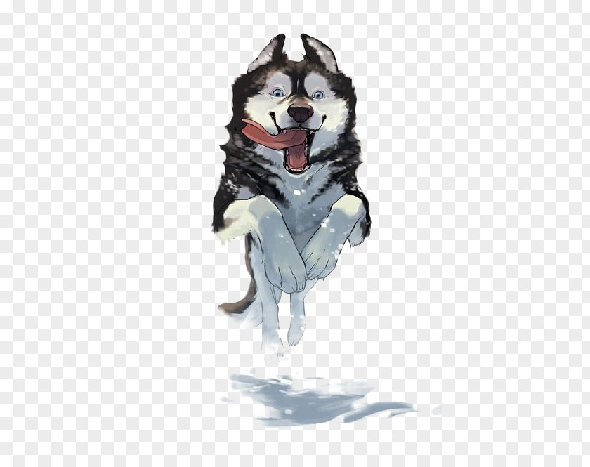 Husky Watercolor Siberian Pet Illustration PNG