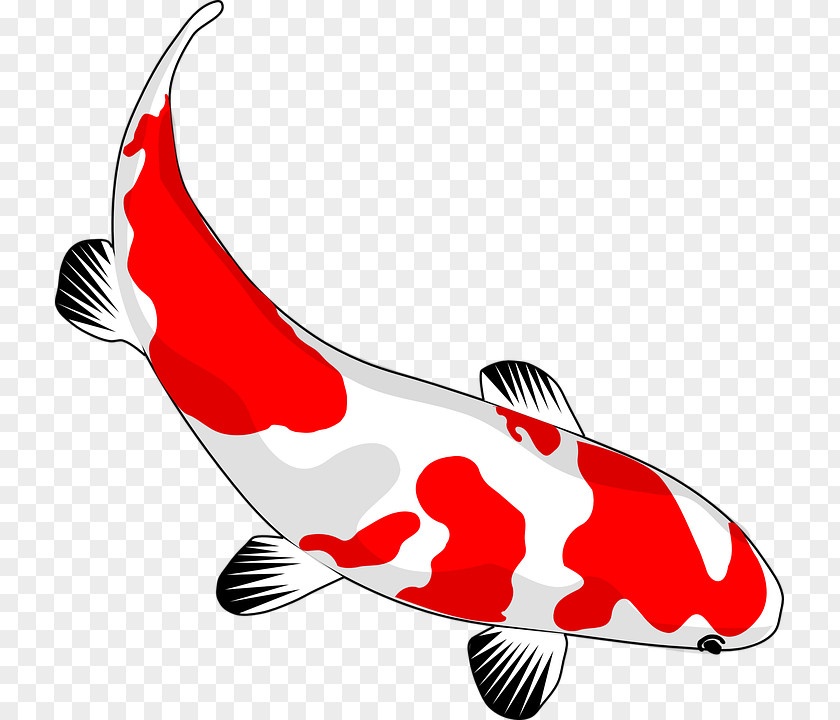 Koi Drawing Clip Art PNG