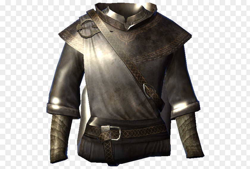 Magicka The Elder Scrolls V: Skyrim Robe Leather Jacket Mod PNG