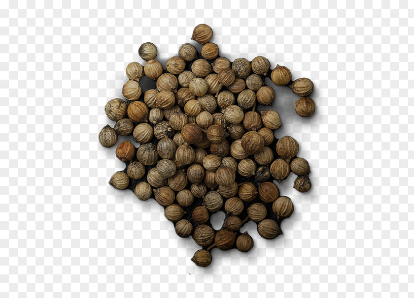 Coriander Perfume Spice Ingredient Seed PNG