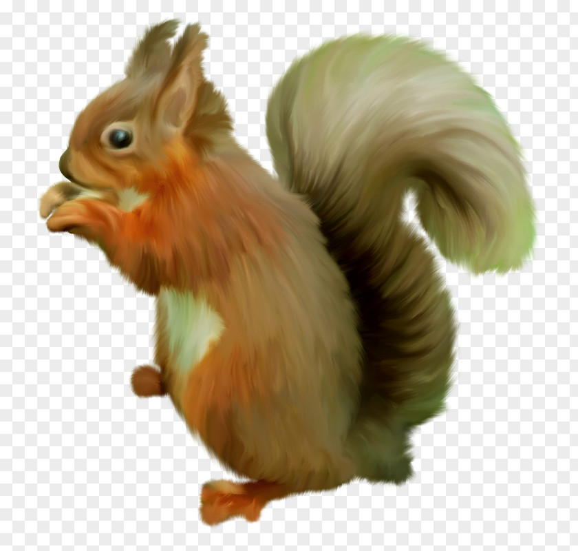 Squirrel World Alphabets GIMP PNG