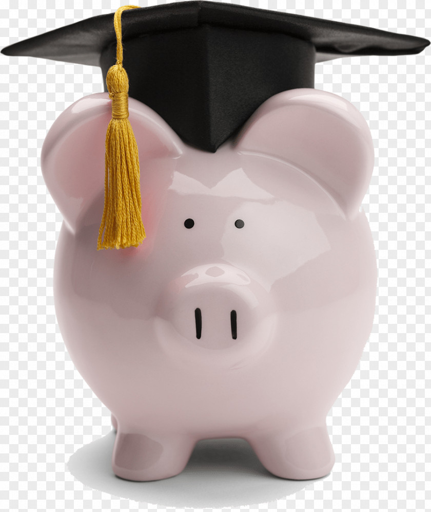 Student Loan Tuition Payments Higher Education University PNG