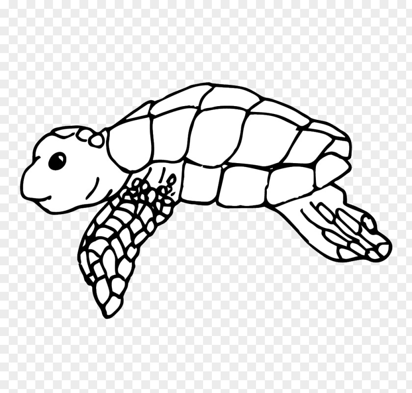 Turtle Leatherback Sea Clip Art Openclipart Image PNG