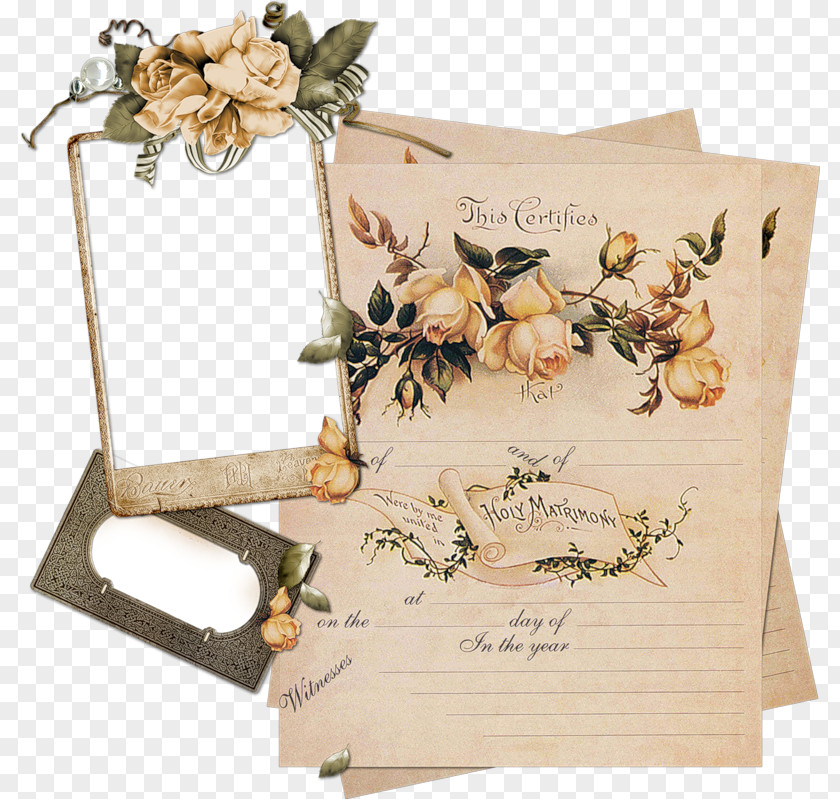 Wedding Marriage Certificate License Genealogy PNG