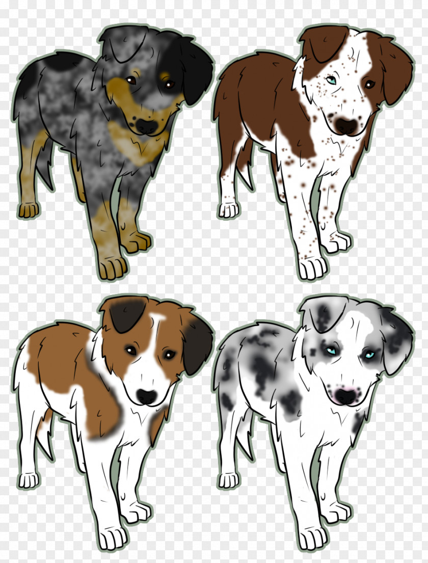 Black And White Cows Breeds Dalmatian Dog English Foxhound Puppy Breed Border Collie PNG