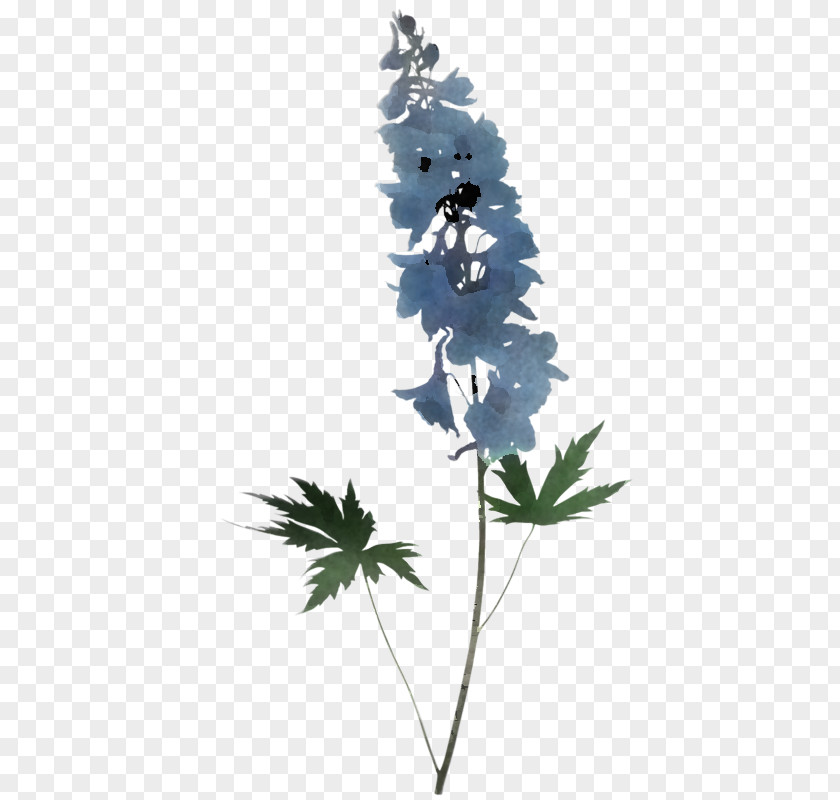 Flower Plant Leaf Delphinium Tree PNG