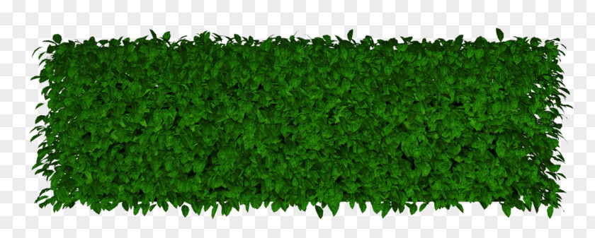 Lawn Artificial Turf Garden Hedge PNG