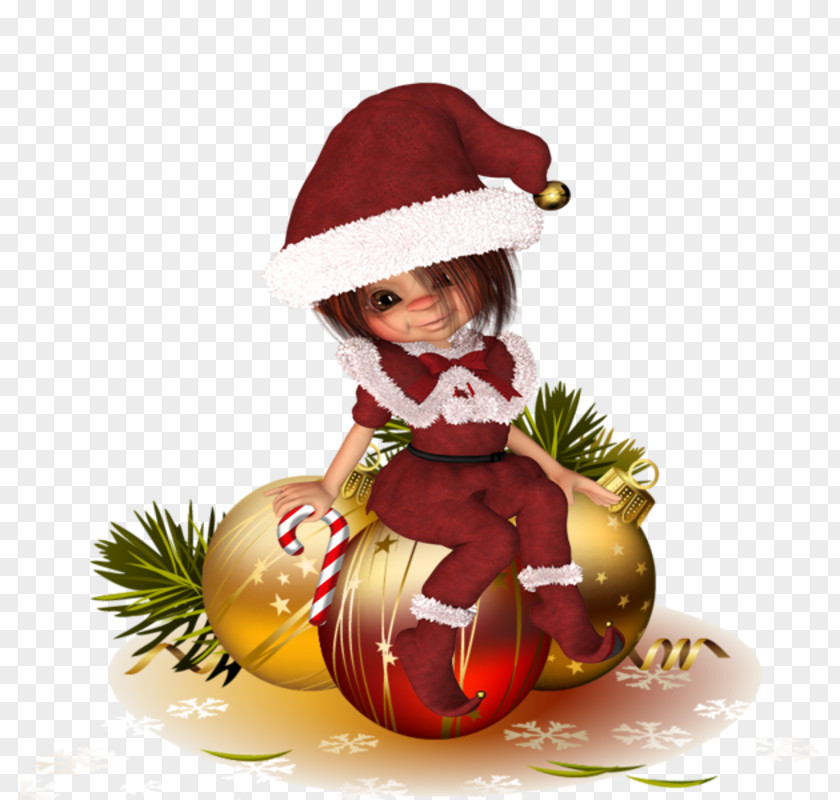 Pine Family Fir Christmas And New Year Background PNG