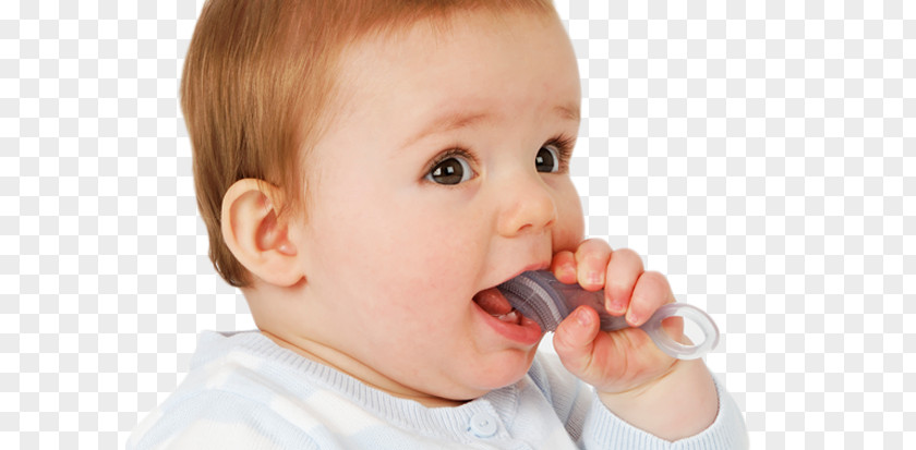 Toothbrush Infant Brush-Baby Chewable & Teether Baby Food PNG