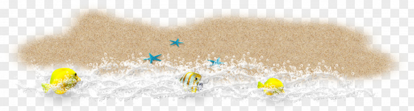 Beach Starfish Spray Yellow Brand Font PNG