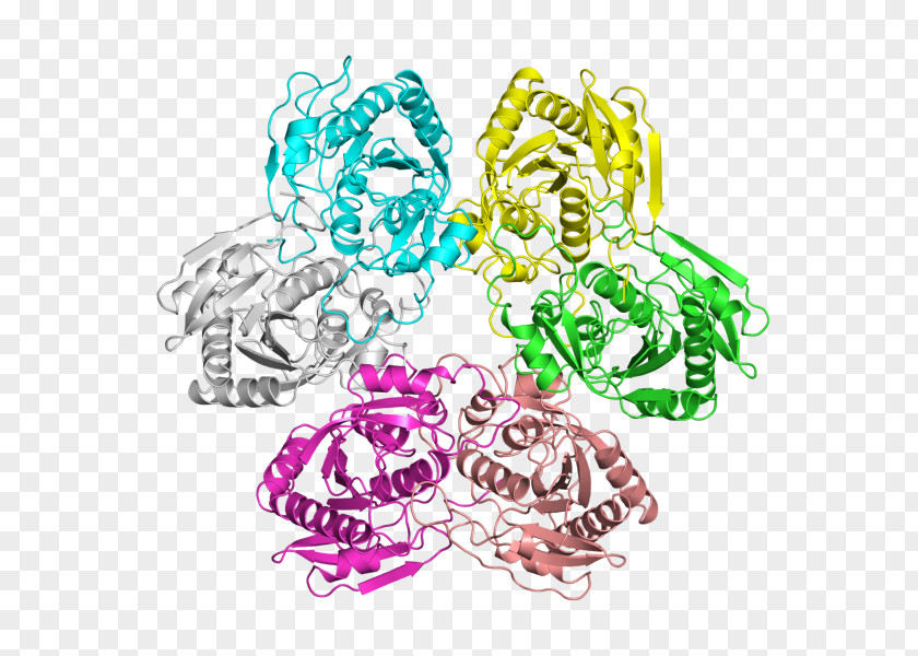 E Coli Cartoon E. Protein Digestion Bacteria Clip Art PNG